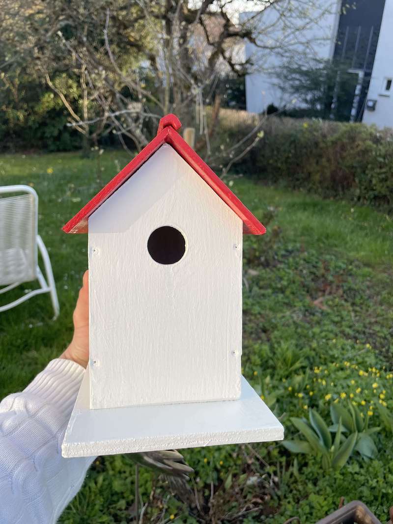 The birdhouse design I chose